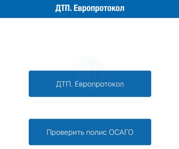 Экран выбора проверки полиса или оформления ДТП с европротоколом
